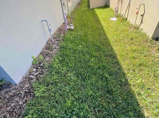 Yong Z.'s Flower Bed Weeding service result