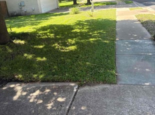 Candace R.'s lawn maintenance service result