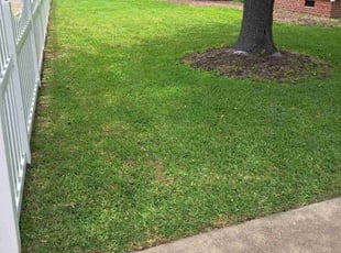 Jeremy D.'s lawn service service result