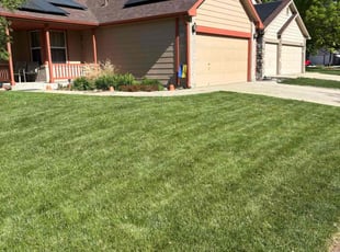 Rachael W.'s lawn maintenance service result