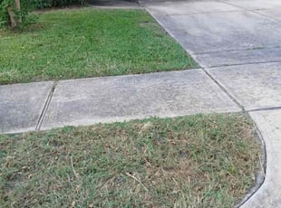 Grace W.'s lawn care services service result