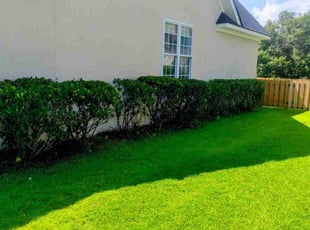 James A..'s Bush Trimming service result