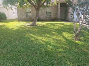 Brian G.'s grass maintenance service result