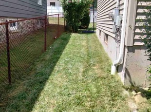 Skanthakumar J.'s turf maintenance service result