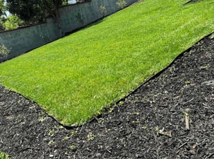 Zee D.'s grass cutting service result