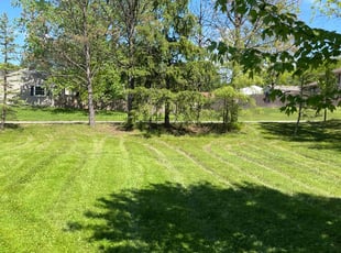 Evelyne W.'s lawn care service result