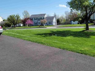 Annie R.'s lawn maintenance service result
