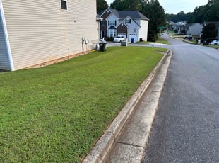 Lisa M.'s turf maintenance service result