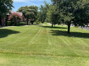 Kagya N.'s grass maintenance service result