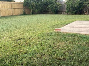 Caroline N.'s lawn care service result