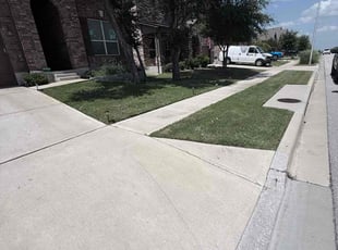 Mary F.'s lawn care services service result