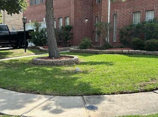 Kristal M.'s lawn care service result