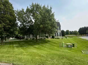 Beth D.'s lawn service service result