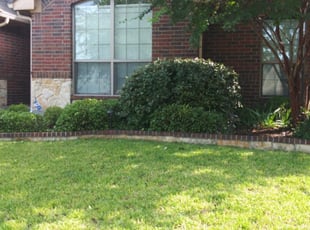 Hillary A.'s Bush Trimming service result
