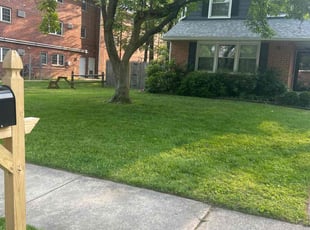 Young W.'s grass cutting service result