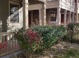 Nathaniel B.'s Bush Trimming service result