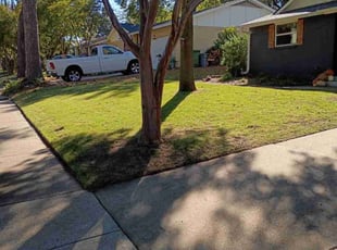 Tonisha B.'s lawn care service result