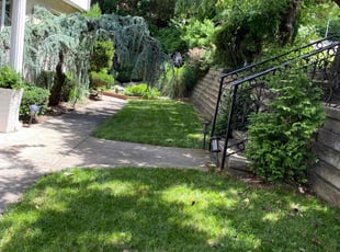 Jesus R.'s turf care service result