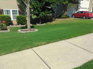 Claudia Z.'s lawn maintenance service result