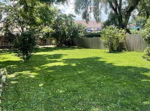 Brandi K.'s turf maintenance service result