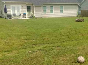 John H.'s grass cutting service result