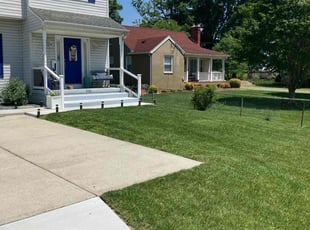 Steve B.'s turf care service result