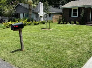 Bradley W.'s grass cutting service result
