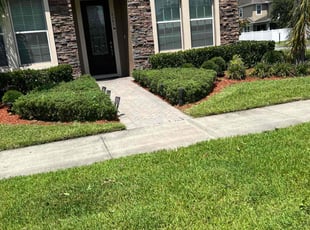 Stephanie D.'s Bush Trimming service result