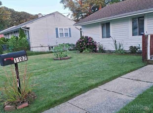 Michelle H.'s lawn service service result