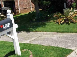 Thomas O.'s grass maintenance service result