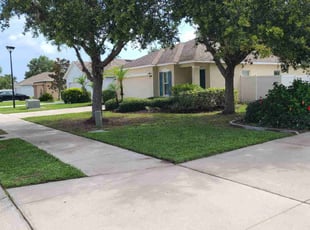Clay R.'s grass maintenance service result