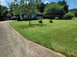 Reginald B.'s lawn care service result
