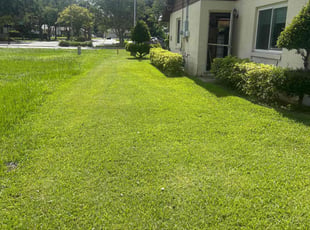 Cheran R.'s turf care service result