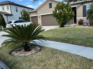 Dorette F.'s lawn care service result