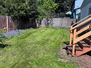 Kimberly P.'s grass cutting service result
