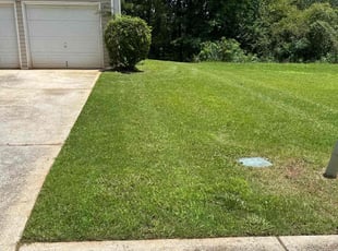 Bekah M.'s lawn maintenance service result