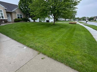 Tim R.'s turf care service result