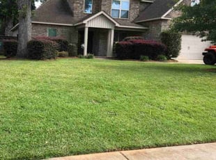 Krystal B.'s lawn service service result
