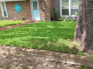 Earnestine W.'s turf care service result