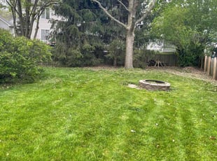 Michael B.'s turf maintenance service result