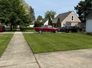 Anne E.'s lawn maintenance service result