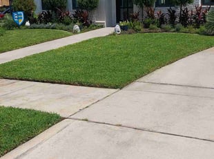 Charlotte W.'s lawn service service result