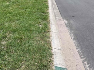 Lisa J.'s turf care service result