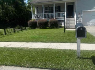 Paula F.'s lawn care service result