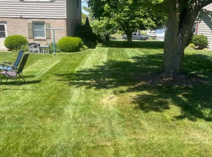 Delal M.'s grass maintenance service result