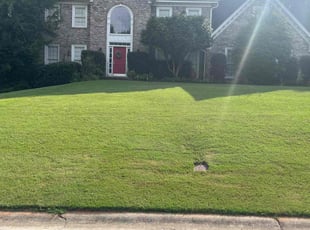Brittany R.'s grass cutting service result