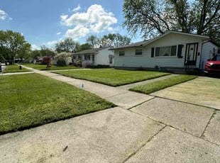 Robert S.'s turf care service result