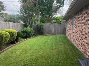 David T.'s lawn care service result