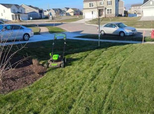 Lady S.'s lawn service service result