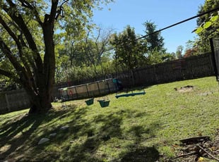 Megan B.'s lawn care service result